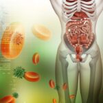 Esquema de un sistema digestivo